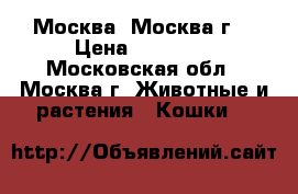 Москва (Москва г) › Цена ­ 35 000 - Московская обл., Москва г. Животные и растения » Кошки   